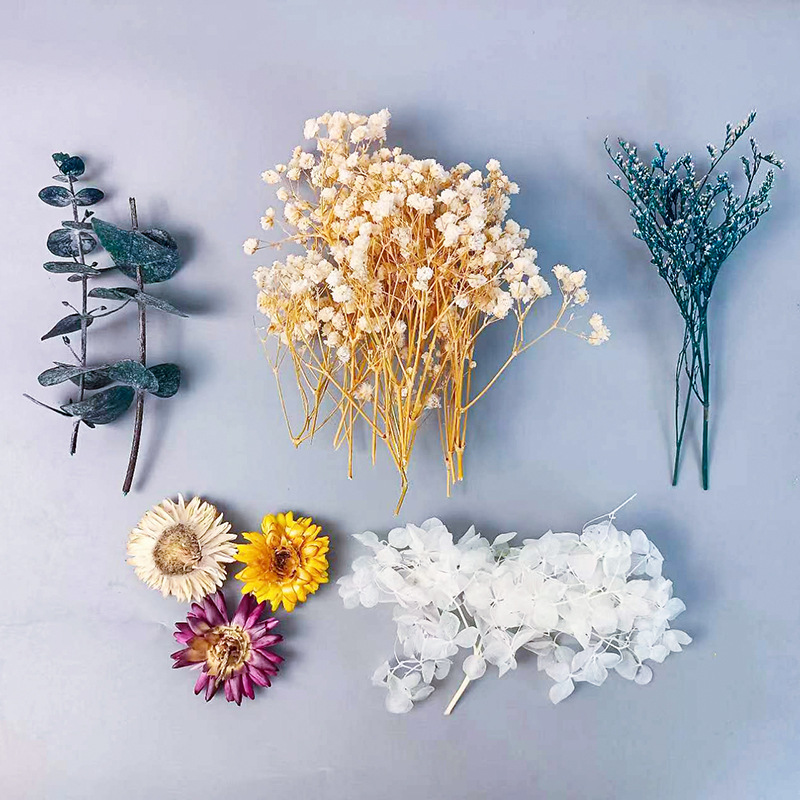 1pack Multifarious Dried Flowe - Newborn Gift Set บทวิจารณ์และราคา