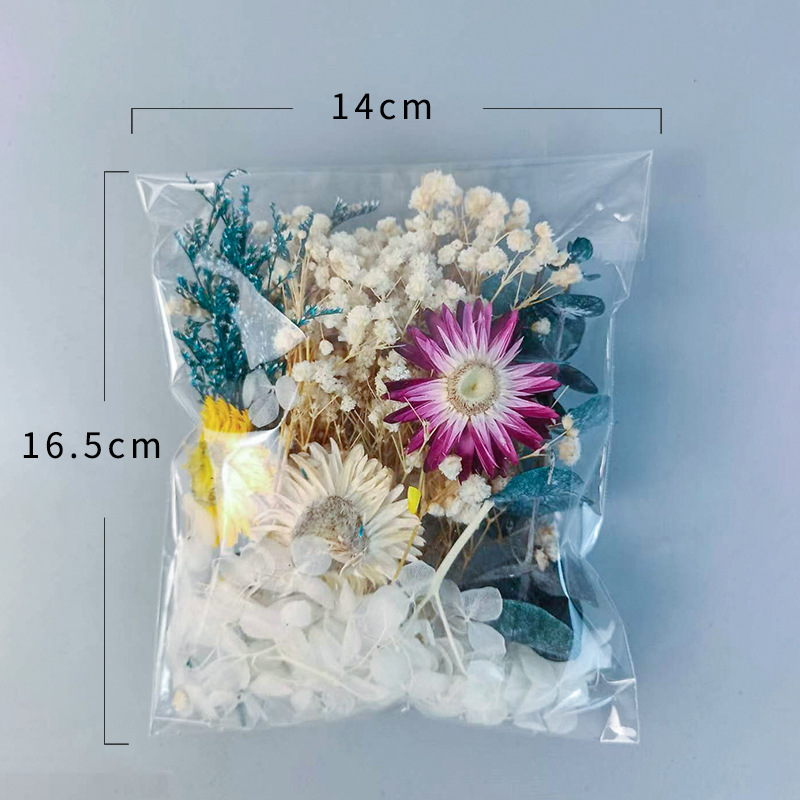 1pack Multifarious Dried Flowe - Newborn Gift Set บทวิจารณ์และราคา